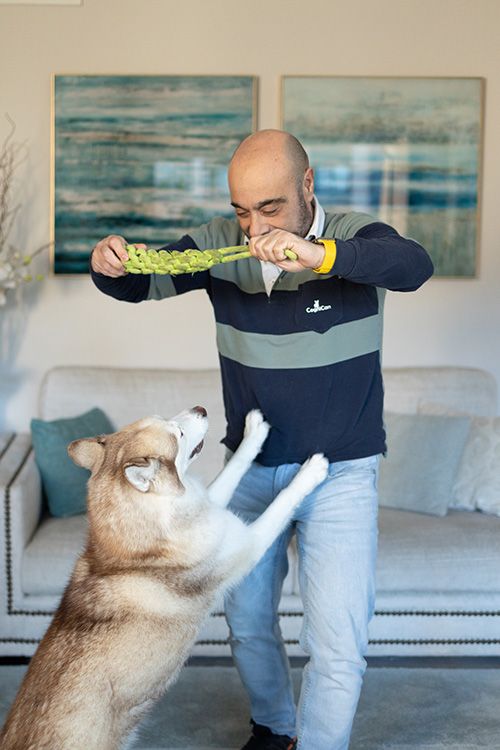 Adiestrador jugando con un husky en casa